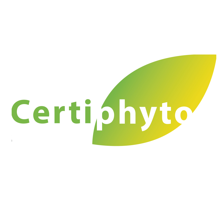 Logo 7